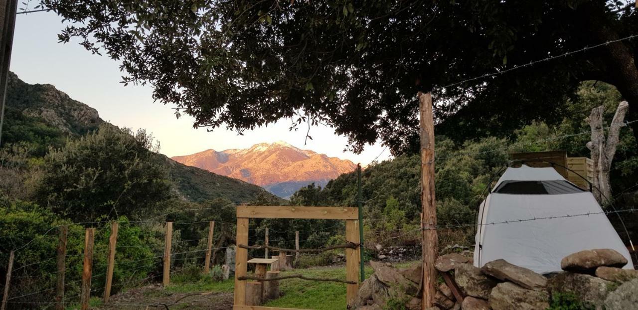 Camping L'Agrottu Au Coeur De La Corse Santa-Lucia-di-Mercurio Exterior foto