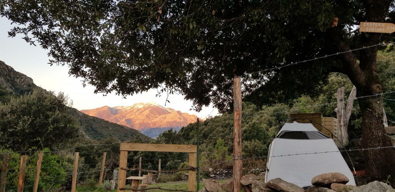 Camping L'Agrottu Au Coeur De La Corse Santa-Lucia-di-Mercurio Exterior foto